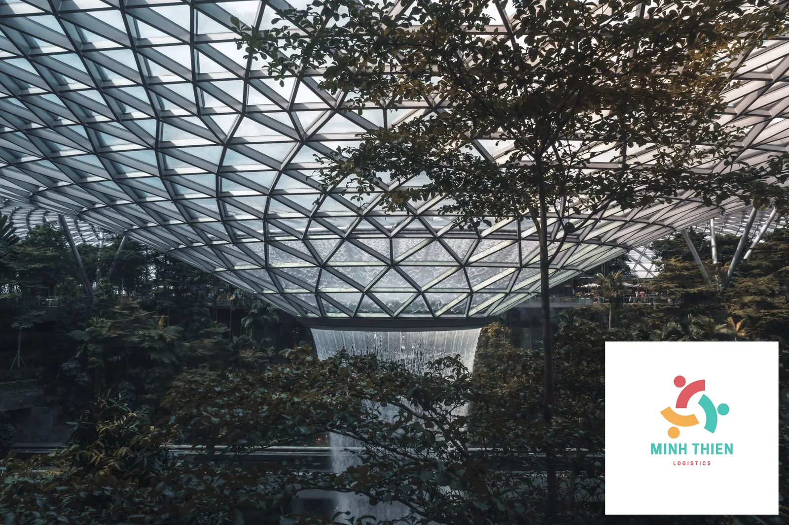 Gửi giò chả đi Singapore: Quy trình, Hải quan SFA & Cách bảo quản